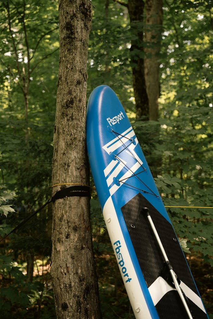 Services-01 pexels-photo-32929575.jpeg